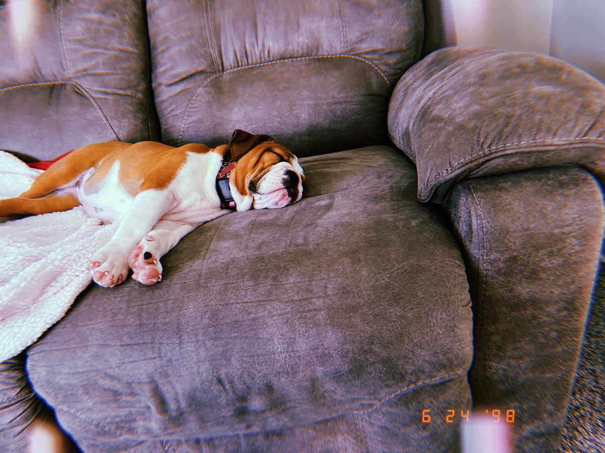 mhiggs005's tweet photo. Long day to be her https://t.co/zhVPxBGYlG