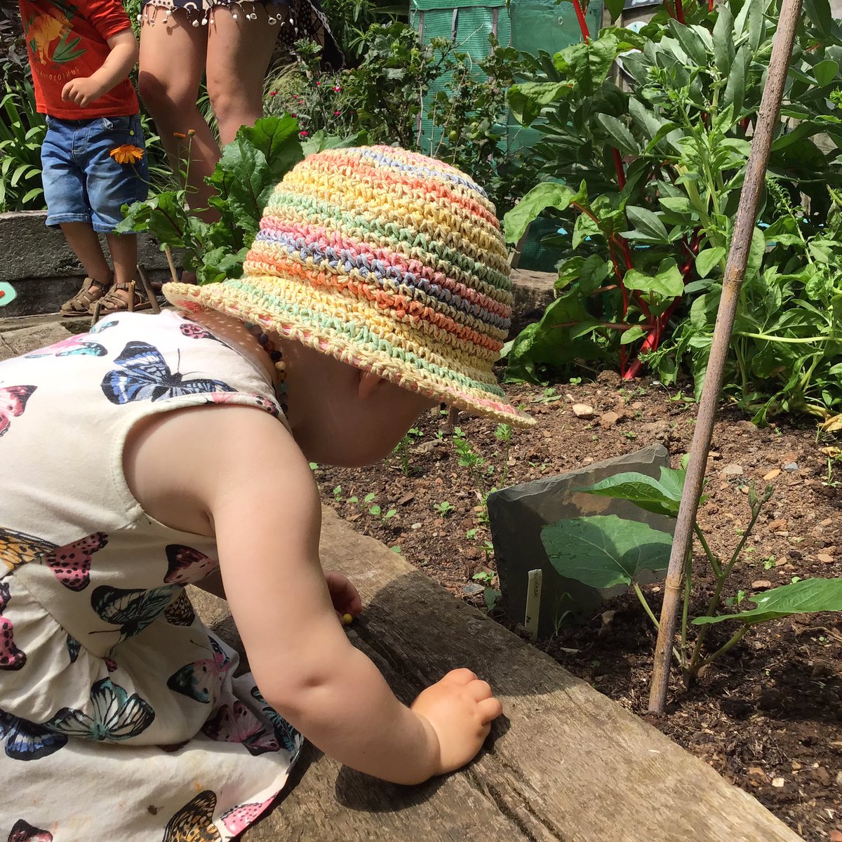 HorticultureTh1's tweet photo. More sowing and harvesting this week. The snow peas proved a popular on the spot snack @TruroLib @SoilAssociation @Kids_Gardening https://t.co/EBRcLKfEd5