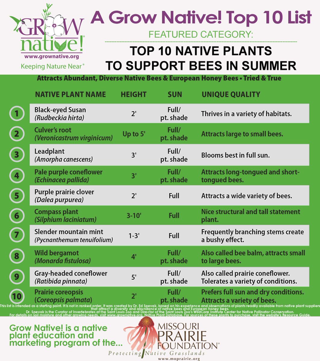 Grow Native (@grownativemo) on Twitter photo Support bees, Grow Native!!! Support bees, Grow Native!!!
