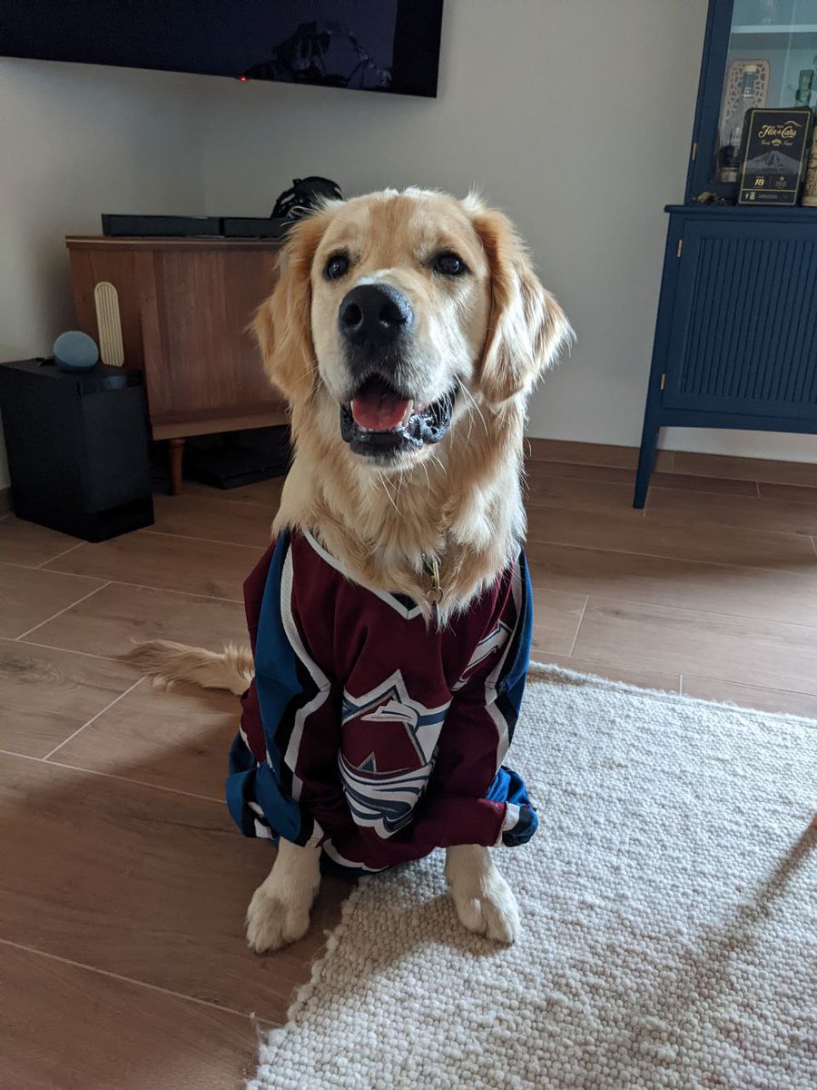 LET'S GO AVS! my boy samson is ready for a long night here in germany!
<a href="/Avalanche/">x - Colorado Avalanche</a> <a href="/DNVR_Avalanche/">DNVR Avalanche</a> <a href="/returnofaj/">AJ Haefele</a> @Nathan__Rudolph <a href="/rightbyroy/">Meghan Angley</a> <a href="/Peter_Baugh/">Peter Baugh</a>