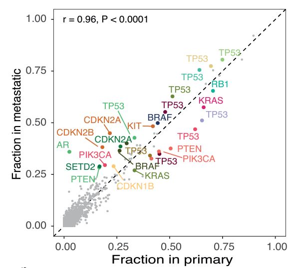 CR_AACR's tweet photo. Christensen et al. leverage large datasets to investigate the evolutionary landscape of established cancer genes, providing insights into cancer dissemination and metastatic cancer biology.
https://t.co/PUtanGoXY4
@nbirkbak @NickyMcGranahan @DitteSigaard https://t.co/MSIPDE5RKR