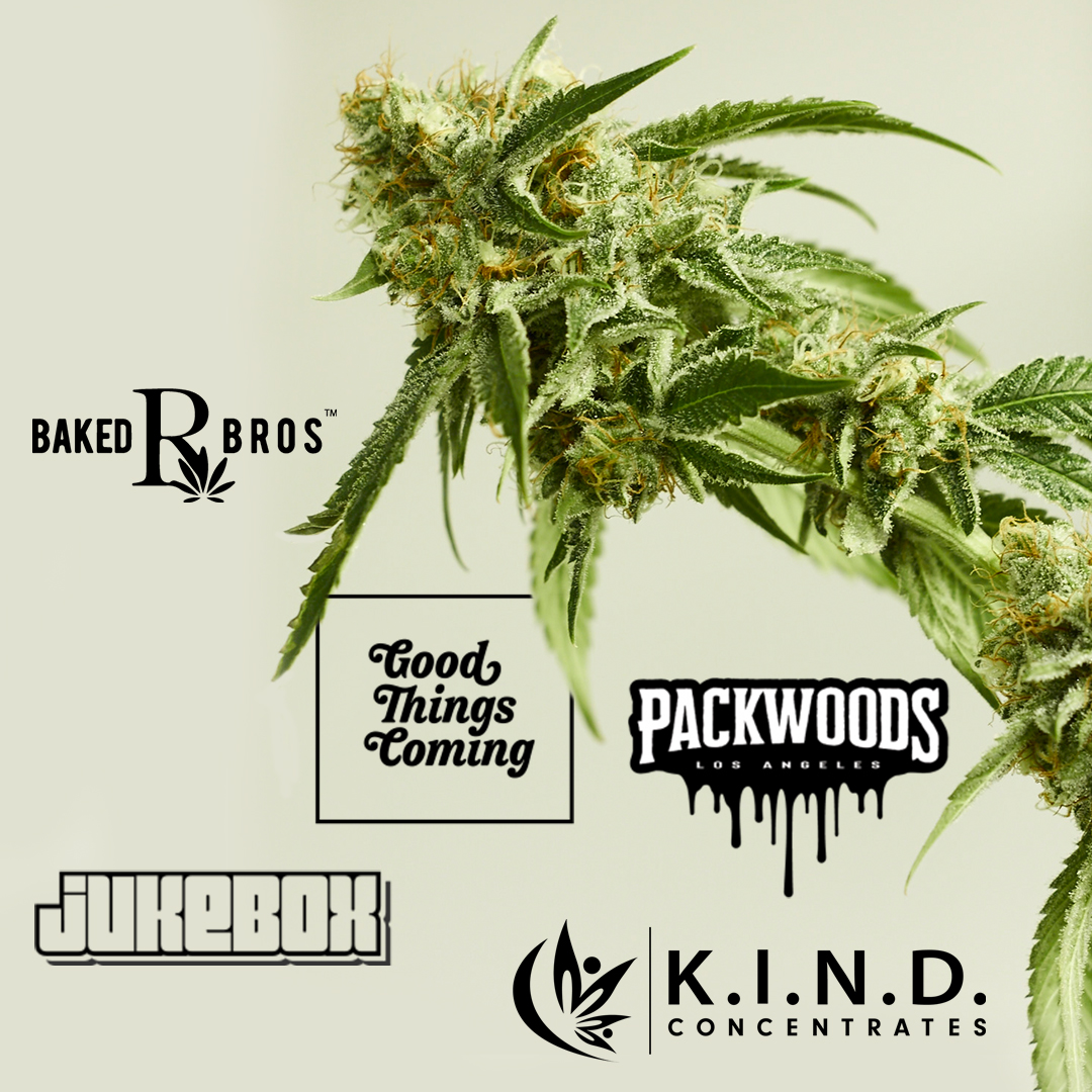 PhxReliefCenter's tweet image. Battle Of The Buds continues! Plus more great things happening today at Phoenix Relief Center. Make sure you stop by and start your weekend off right.

@bakedbrosaz @goodthingscoming
@jukeboxhitz @packwoods__l @kind_concentrates

#phoenixreliefcenter #prc #battleofthebuds