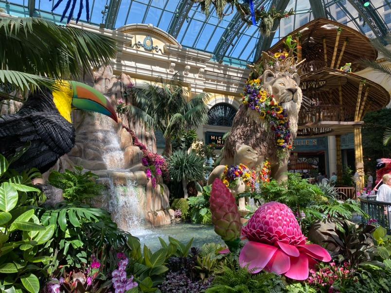 The beautiful outdoors, inside the Bellagio Conservatory in Las Vegas. #nationalparkexpress #visitlv #visitvegas #vegastours #bellagio #funinvegas #travelphoto #travelagain #travelfun #getoutdoors