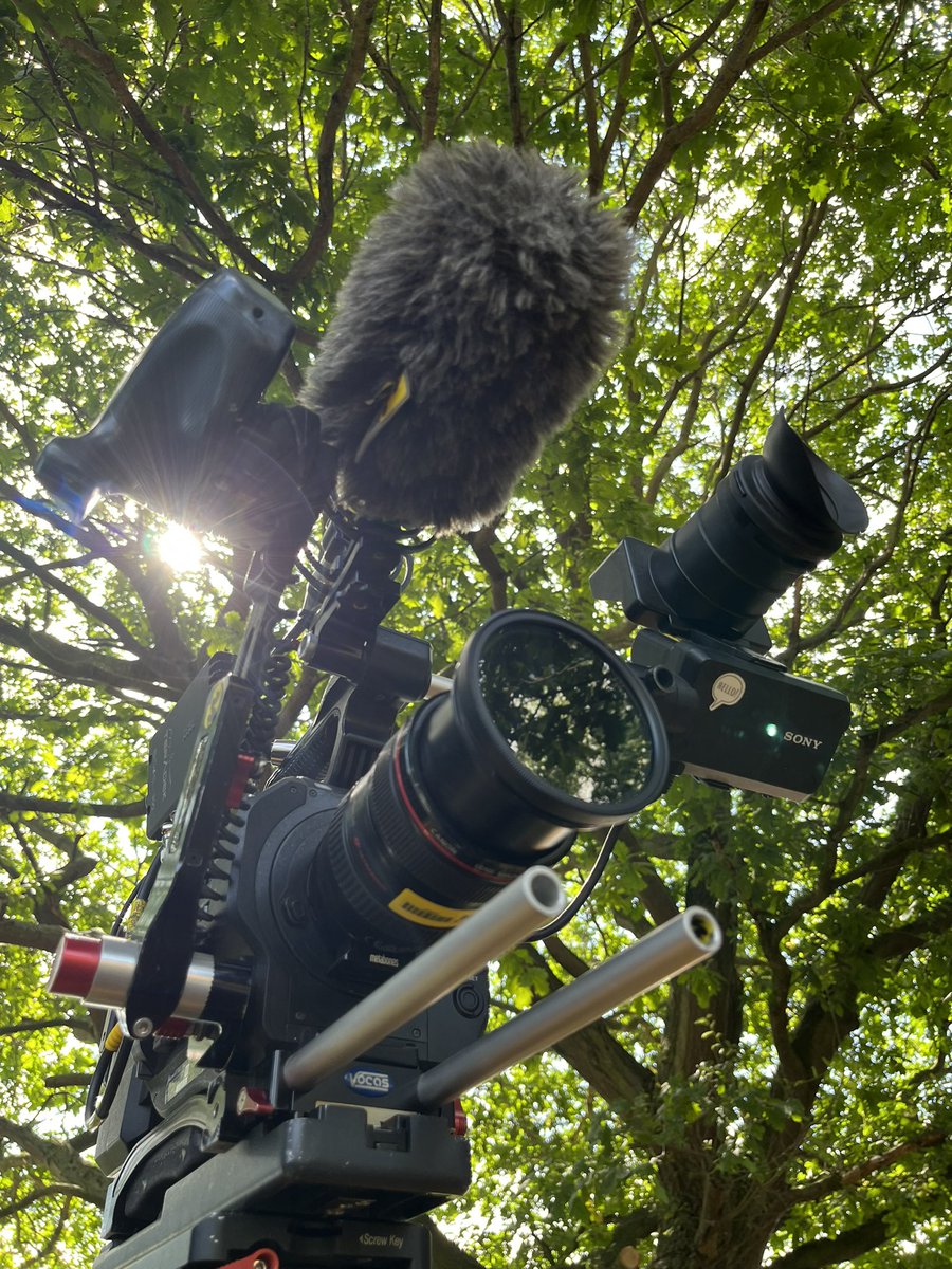 Scott Taylor tweet media