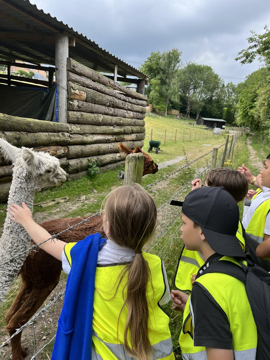 MaryTowerton's tweet photo. Geography field trip- such a fabulous day exploring the Chiltern Hills by using their map and compass skills - well done everyone! https://t.co/TR7hN8AYxF