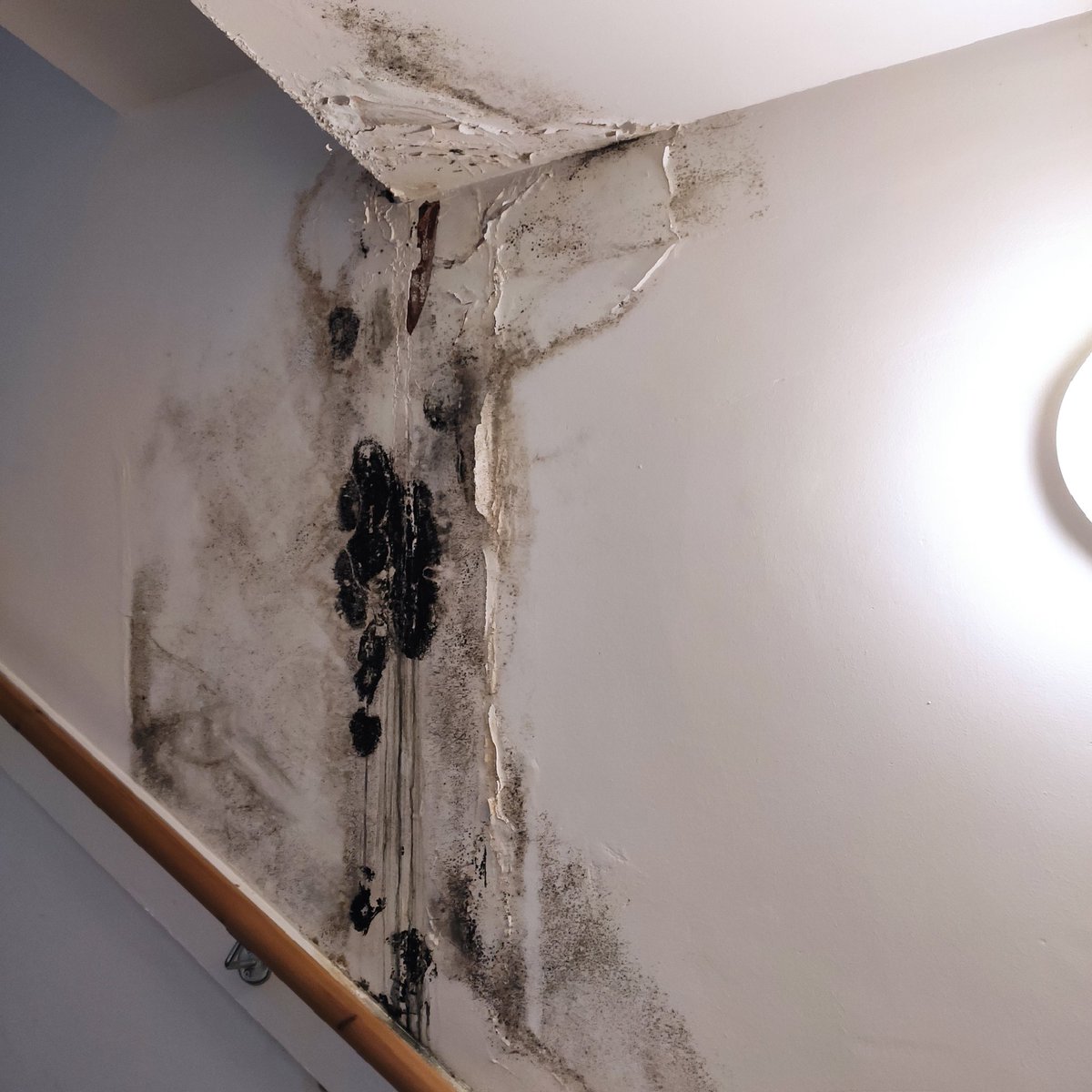 ESLeaseholders#BuildingSafetyCrisis tweet media