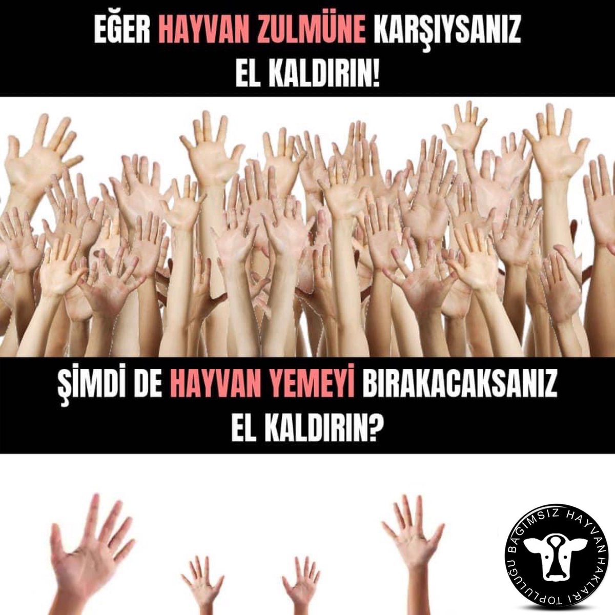 bhhtoplulugu's tweet photo. 1️⃣ İnsan dışı hayvanların maruz kaldığı zulme tepki gösteren ama hayvansal ürün kullanan herkes bir kez daha düşünmeli: Bu tüketime talep yaratıyorsanız, hayvan deneyi yapılan ve hayvansal içerikli eşyaları kullanıyorsanız, zulmü paranızla finanse ediyorsunuz. https://t.co/VtrMn6IptZ