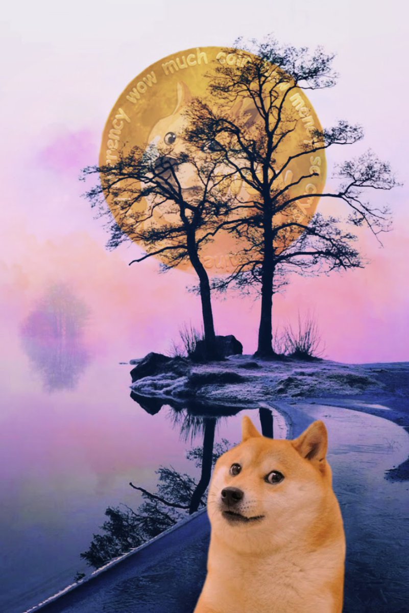 "Never stop believing in hope because miracles happen everyday" 💯💜

$doge #dogecoin #dogearmy #DoOnlyGoodEveryday