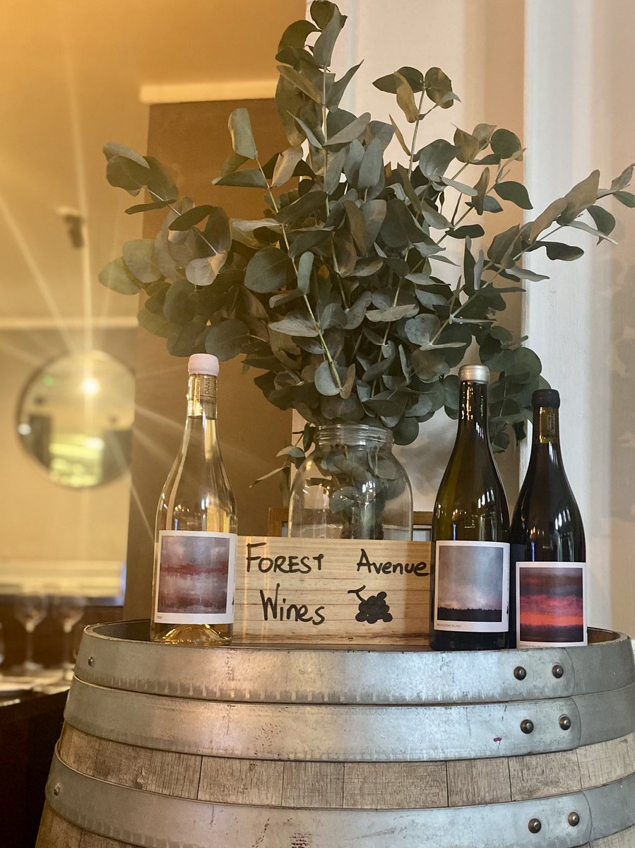 Our Forest Avenue wines are back in stock, just in time for you to grab a bottle for the weekend! Also available by the glass <a href="/ForestAveDub/">Forestavenue</a> 🍇