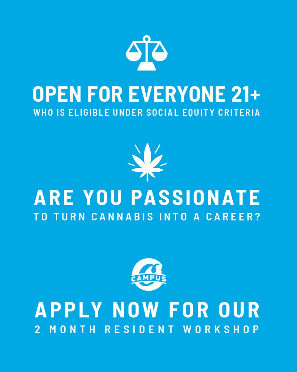 cookiesimpact's tweet photo. Don't forget to apply for a chance to be part of the next #CookiesU cohort 🌱 
➡️ https://t.co/UQ57XnqkjJ
#CookiesImpact @cookiesglobal https://t.co/WG2TXSExQR