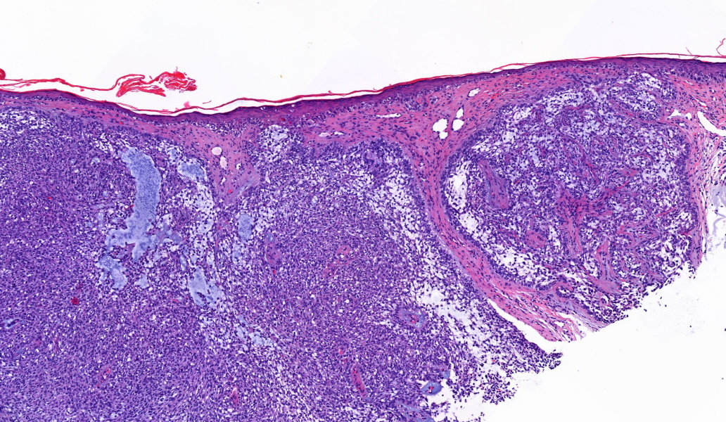 Tim McCalmont tweet media