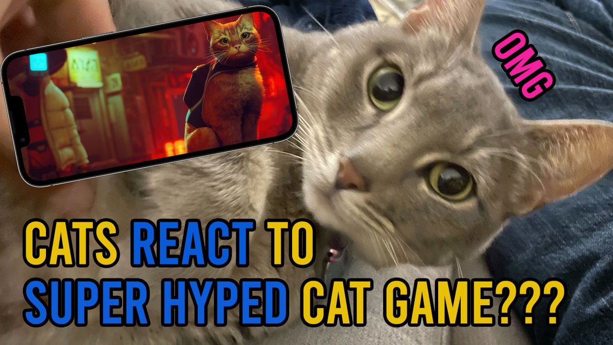 FanbyteMedia's tweet image. How do real cats feel about Stray, the game about a cat? We asked our own cats and filmed their responses. fanbyte.com/features/we-sh…