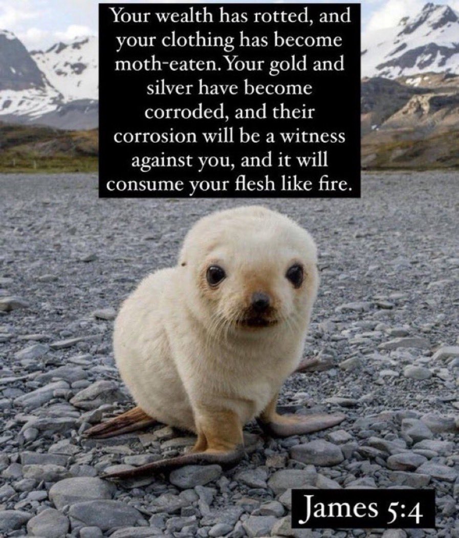 ▹▹ lucas ✦ (@shinningstudies) on Twitter photo 