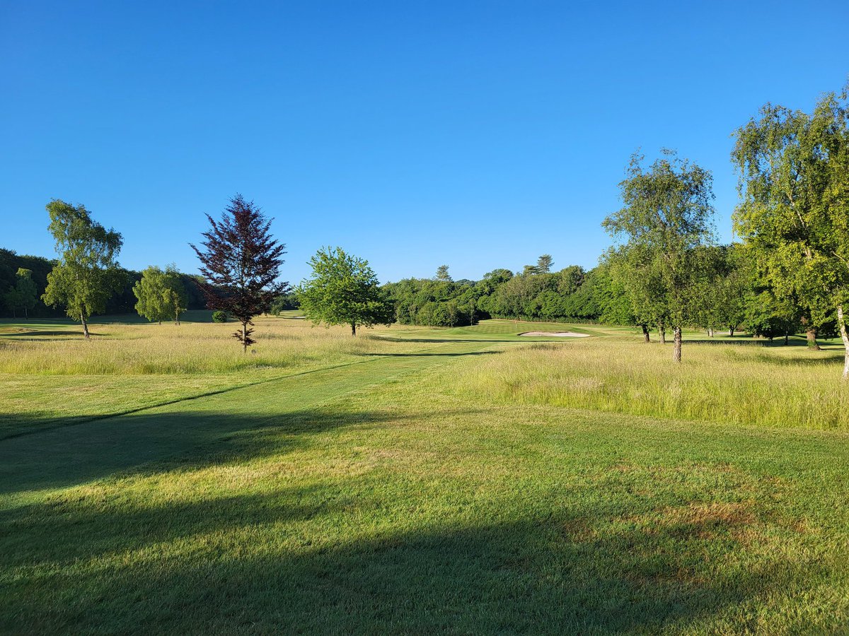 Alresford Golf Club tweet media