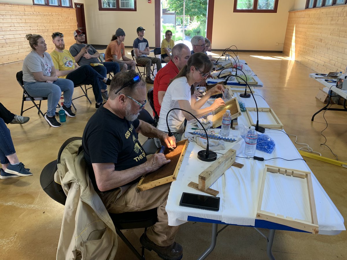 Participants in the WSU Bee Breeding and Queen Rearing Workshop practice grafting (moving bee larvae from the combs in which they were laid into special cups). The “grafts” will be placed in a “ cell builder” beehive where each grafted larva will be raised as a new queen.