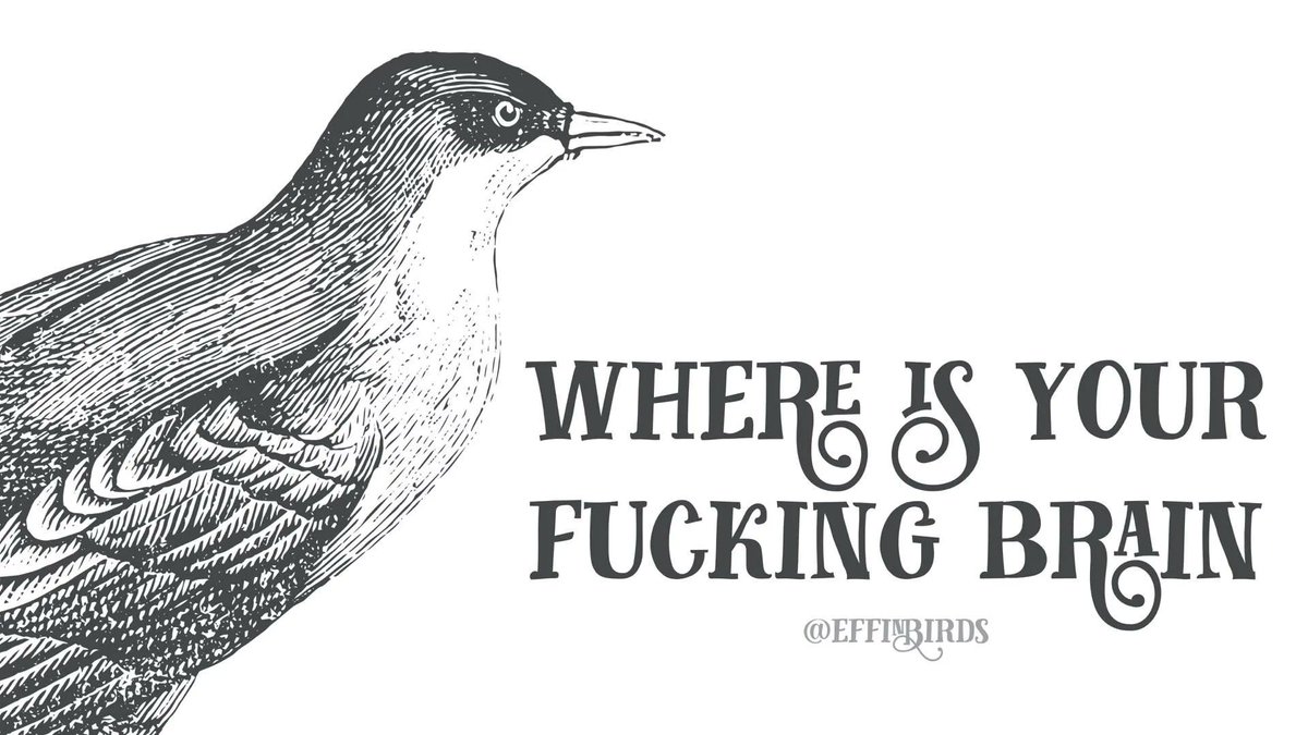 Effin' Birds (@EffinBirds) on Twitter photo 2022-06-24 19:14:03