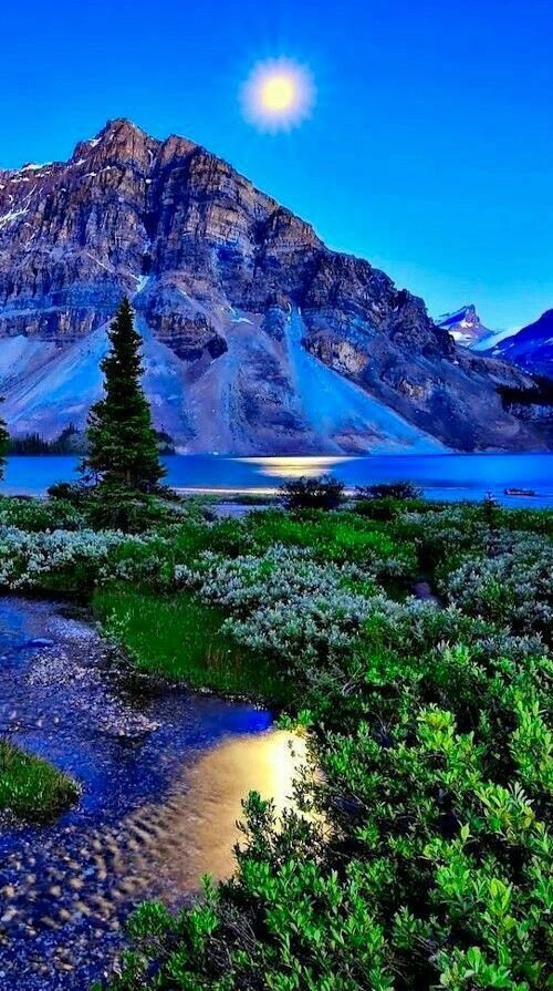 tiggylea's tweet photo. Nighttime 💙 https://t.co/Iq1JGsdgZ4