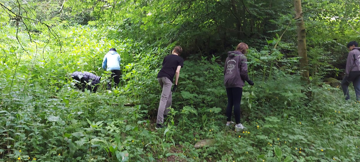 RammyExplorers tweet media