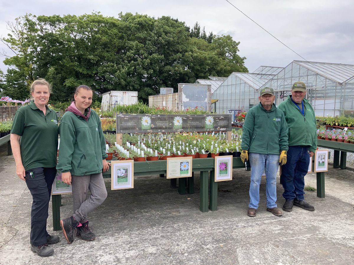 grow_ltd's tweet photo. Fantastic selection of Guernsey Native plants available @grow_ltd! Our crew have done an excellent job of potting them on into peat free compost &amp; caring for them, ready for sale in conjunction with @LaSocieteG 🌱🪴#guernseytogether #conservation #disabilitynotinability https://t.co/nJsvFKuWSm