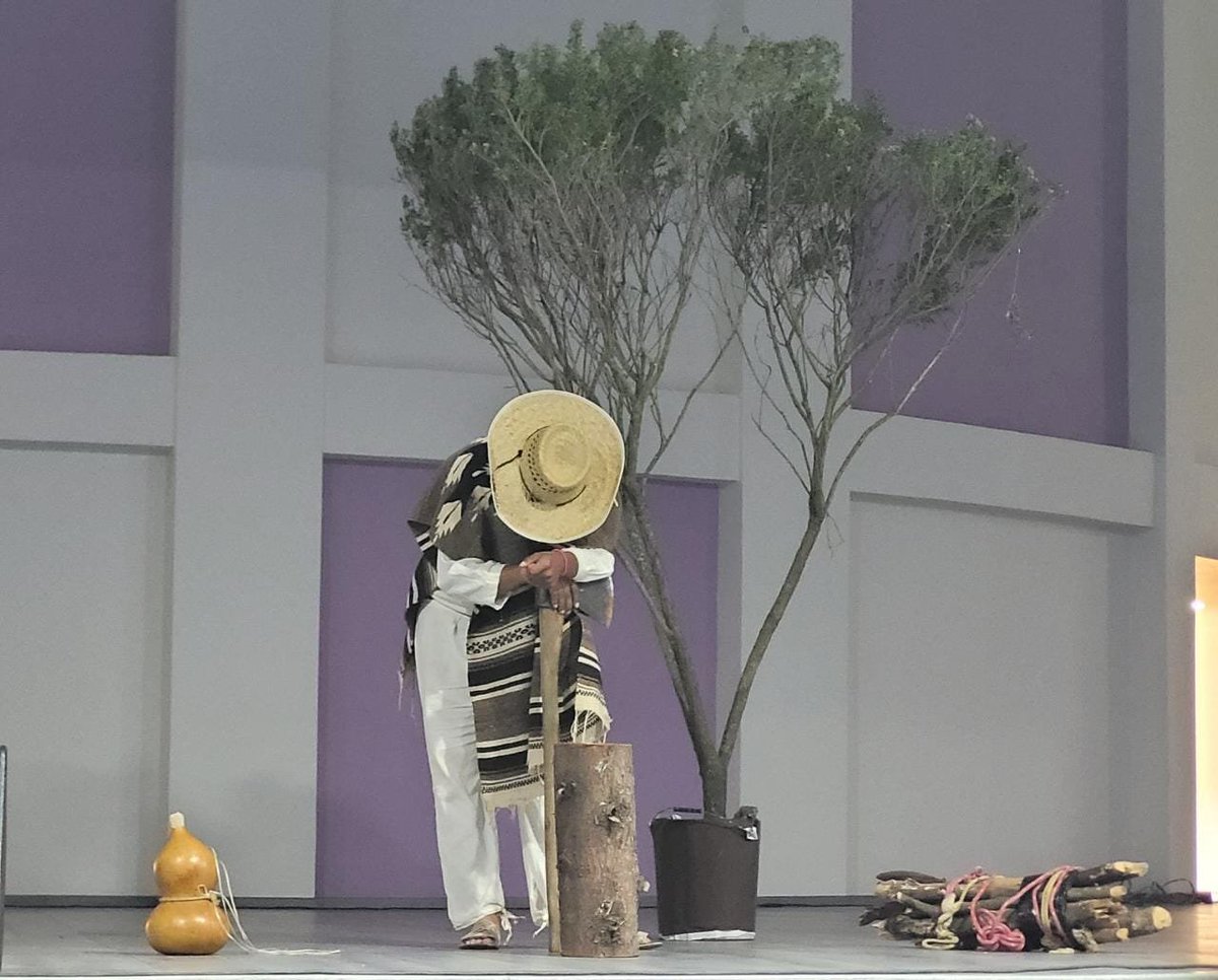 Edomex_TBC's tweet photo. 23/06. Demostración de Teatro fase regional Valle de Toluca. Una herramienta de enseñanza para el desarrollo de la interpretación, la memoria y la creatividad. #FamiliaTBC💚 
@geramonro05 @israeljeronimol @hectorhesilva @HectorUlisesCG1 @VeronicaRB04 https://t.co/1qbcXczaSK