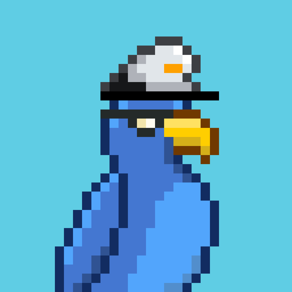 Parrots 🦜 tweet media