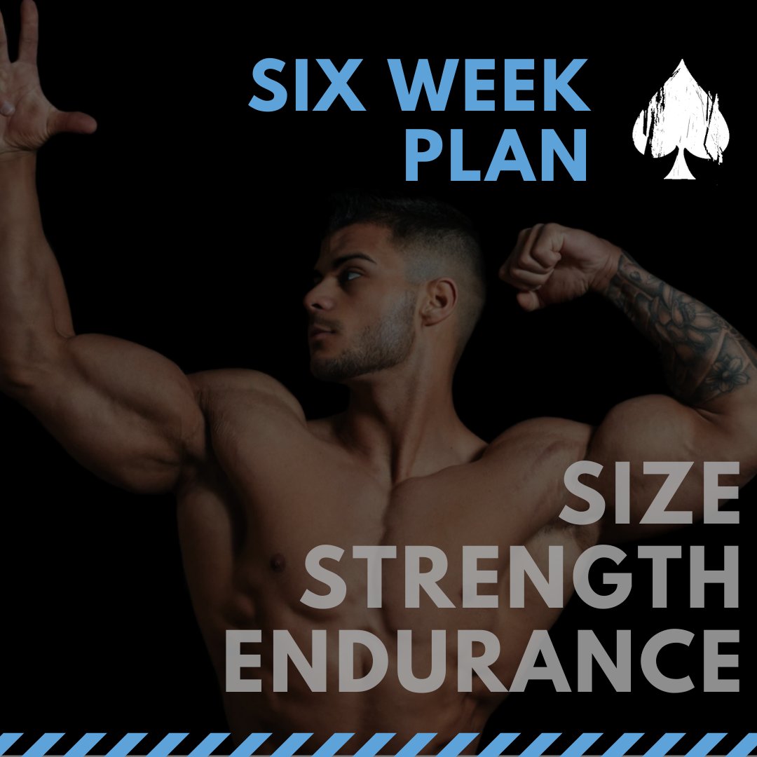 MuscleMilitary's tweet image. FREE workout plan that can help you increase size/strength/endurance
militarymuscle.co &amp;amp; click FREE PDF tab
#fitnessfriday #free #workoutplan #muscle #weightlifting #weighttraining #freeplan #exercise #macros #training #hypertrophy #endurance #militarymuscle #plan #strength