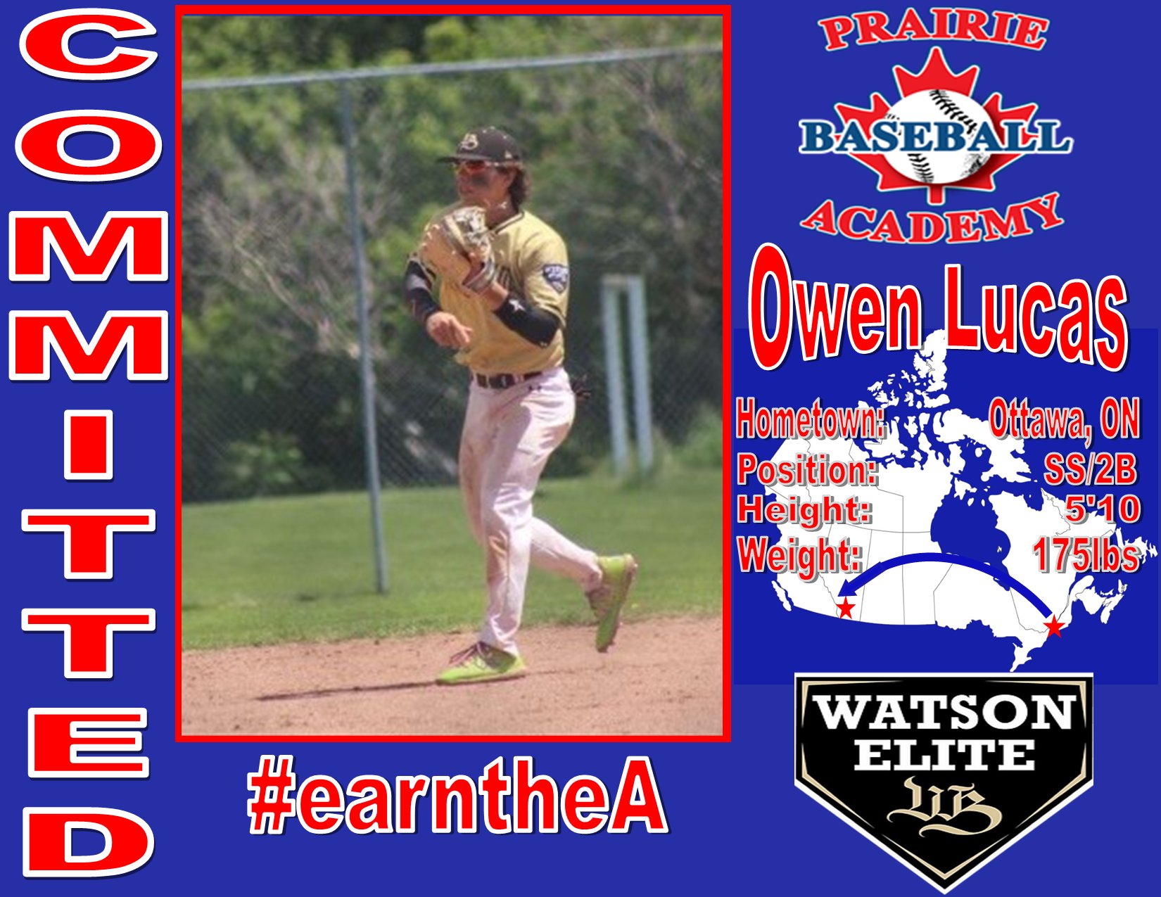 world golf baseball academy