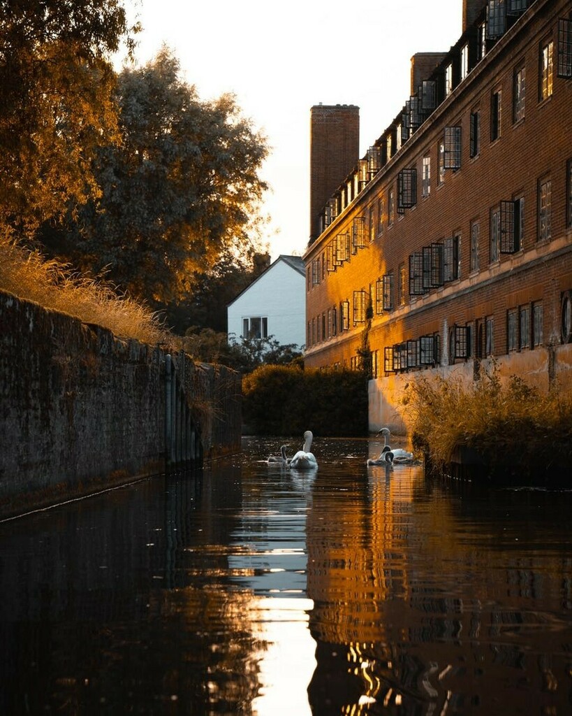 JackWarnerPhoto's tweet photo. [3of3] Took some photos with my lovely new 24-70 G Master yesterday in cambridge on a short punting trip! Absolutely lovely evening despite the absolute downpour of rain we had before climbing in the boat! Really recommend this to anyone near / visiting … https://t.co/zqpEmmC56g https://t.co/fgtOrd4OG2