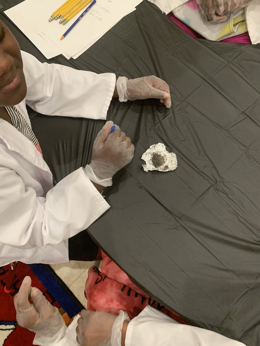 kidzknectrc's tweet photo. Specimen #1 - Owl Pellets

Can you guess what an owl pellet is and how it’s made?
#summerSTEMcamp #kkrc #dissection #owlpellets #newexperiences https://t.co/WtAKNRmsln