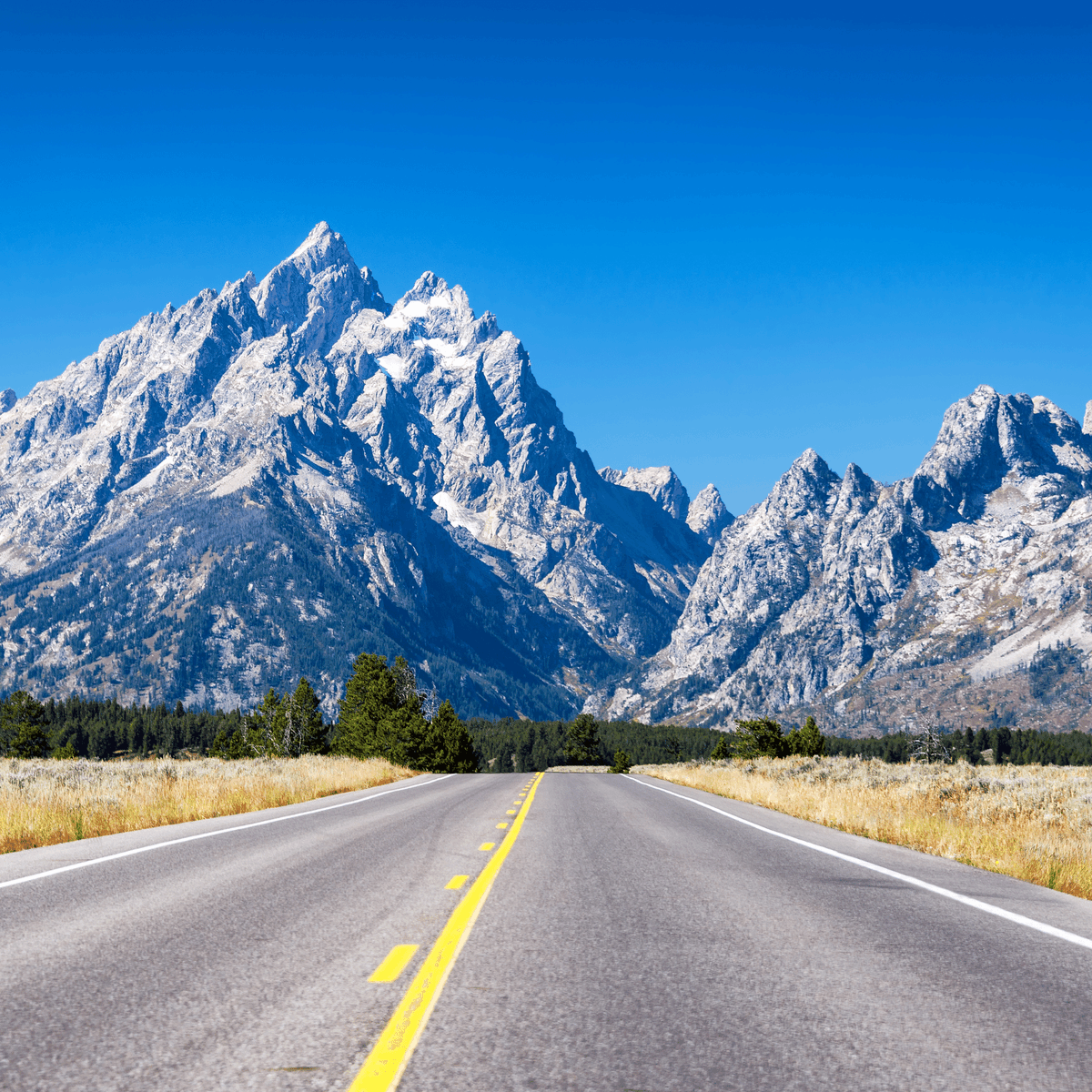 ahaairlines's tweet photo. Counting down to Santa Rosa and Idaho Falls flights from Reno-Tahoe! Flights begin 7.14.22 and 8.11.22.

🚨$29* one-way fares🚨 Book until 11:59 PM PDT 6.26.22 for travel 7.6.22 - 10.31.22 for select Wed/Thus flights. See https://t.co/eqVZ99OsyZ for more. #idahofalls #santarosa https://t.co/jFHVZNFkVc