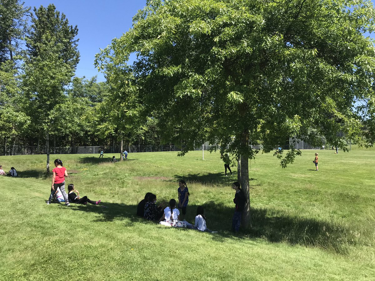 We love our shade trees once it gets hot