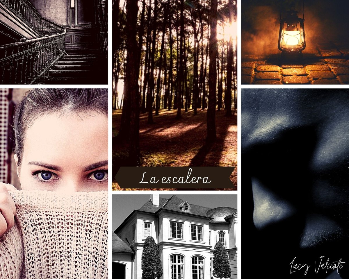 Lucy_Valiente_'s tweet photo. ¿Te gustan los #vampiros? ¿El #romance? ¿Las mansiones perdidas en el bosque?
¡Conoce a Leyna y Mikah! Y desde solo 0.90 eur 👇
https://t.co/IBq6KxTeiO
Buenas noches 🦇
#LucyBebis #fantasía #romance #librosdeamazon #kindle https://t.co/07KovqZdpm