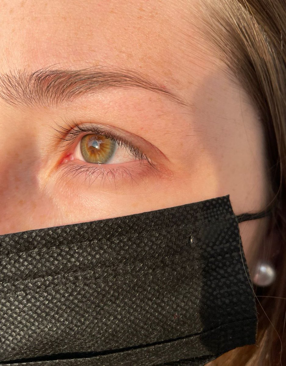 !ZZY🌷 tweet media