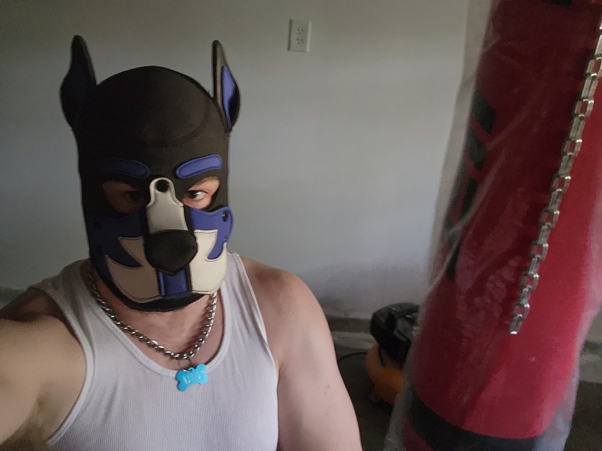 PupAuto's tweet image. Who wants to see Autos Dominate side? Normally submissive but feeling a Dom spell coming on. Awooo