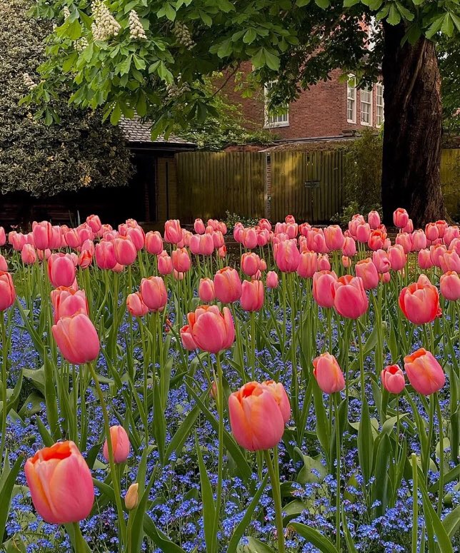 ‏ْ (@piinkifairy) on Twitter photo 