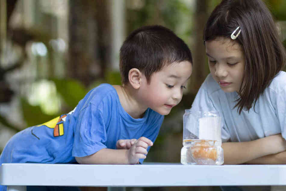 genes2teens's tweet photo. Children are curious by nature and enjoy learning through hands-on exploration. Here is a list of 14 amazing #STEM project books to help children grow their knowledge through fun activities.  https://t.co/Z9aAgB5mEh https://t.co/9RrjmrDgHh