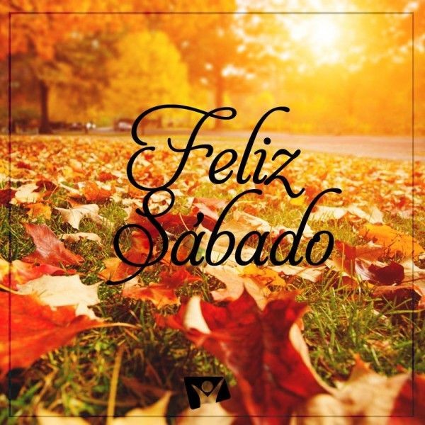 prdilsonCardoso's tweet photo. Feliz sábado 🙌🏽 https://t.co/OEaQBtMEBB