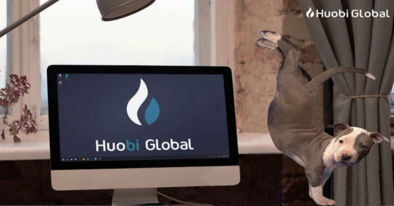 HTX_Global's tweet photo. Ability is limitless 🐶 #Cryptocurency🚀#Huobi