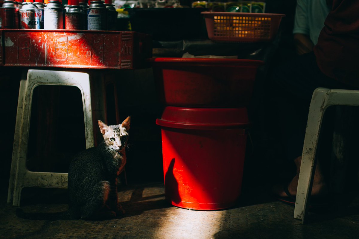 オオツキ トシアキ (@mygangs) on Twitter photo 