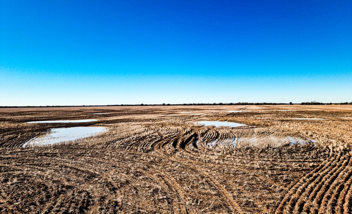 Jake Hamilton tweet media