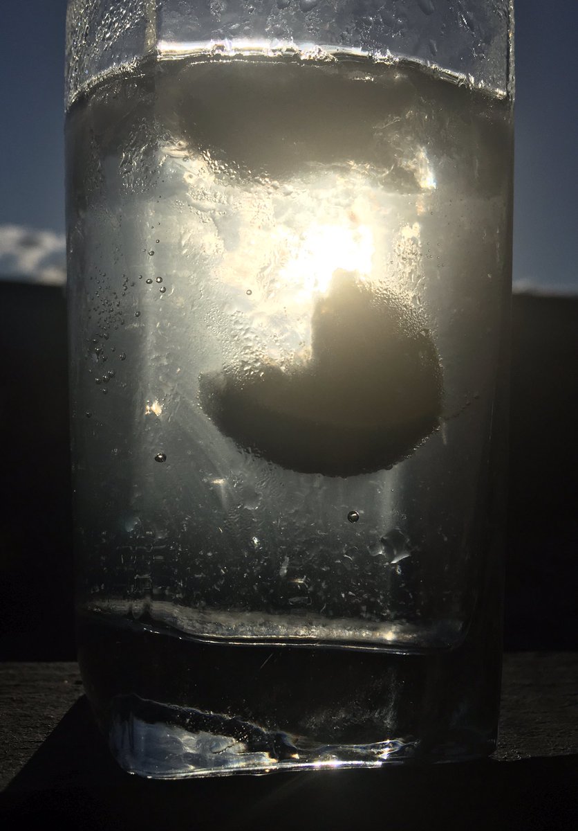 💎 Berto 💎 tweet media