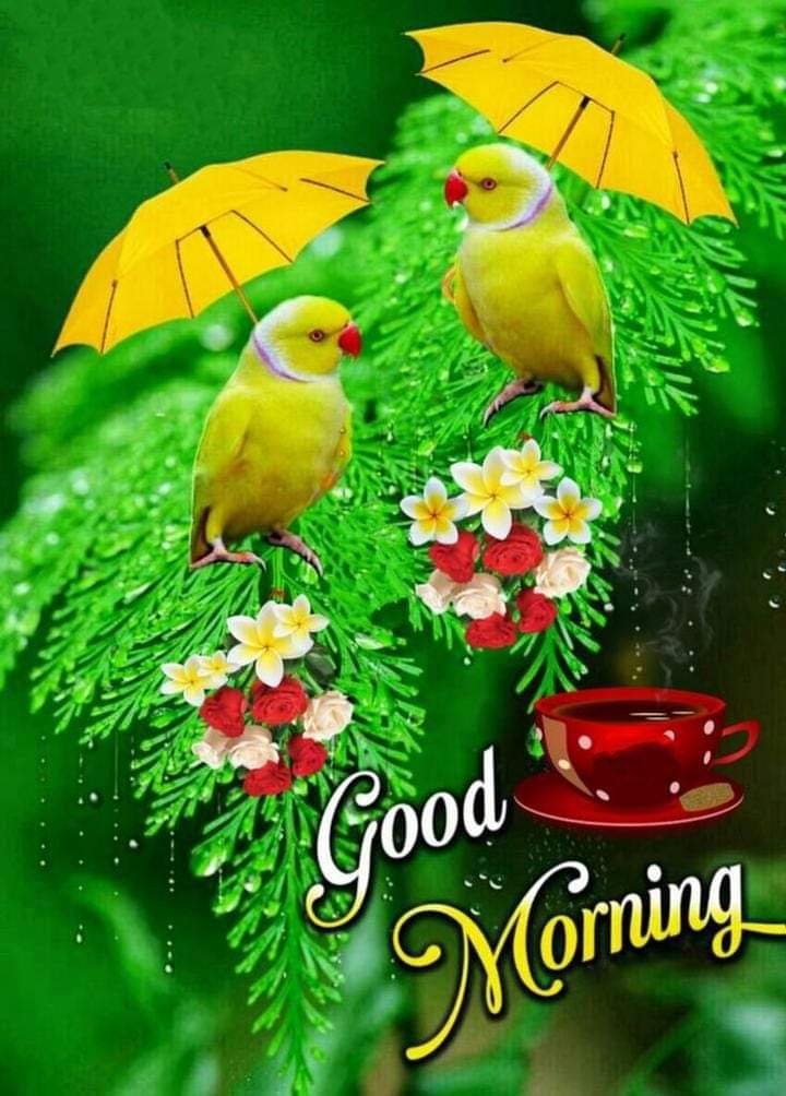 PoonamS41319581's tweet photo. *कहीं  मिलेगी जिंदगी में #प्रशंसा तो,कहीं #नाराजगियों का बहाव मिलेगा* 
*कहीं मिलेगी सच्चे मन से दुआ तो,कहीं भावनाओं में #दुर्भाव मिलेगा*   
*तू  चलाचल राही अपने #कर्मपथ पे,जैसा तेरा भाव वैसा #प्रभाव मिलेगा।*
#GoodMorningFrnds...
#SaturdayFitnessMotivation https://t.co/ZalRpzaKdA
