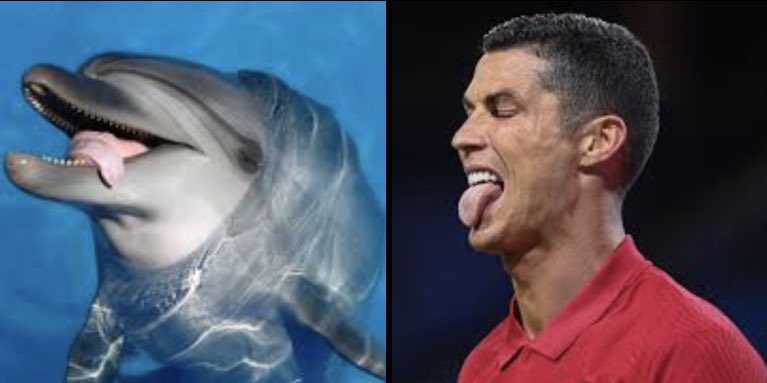 mleszn's tweet photo. Ronaldo as a Dolphin [A Thread] https://t.co/sFvOPxCSJb