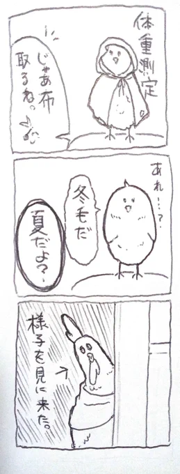 🐣が健康診断逃げた理由 