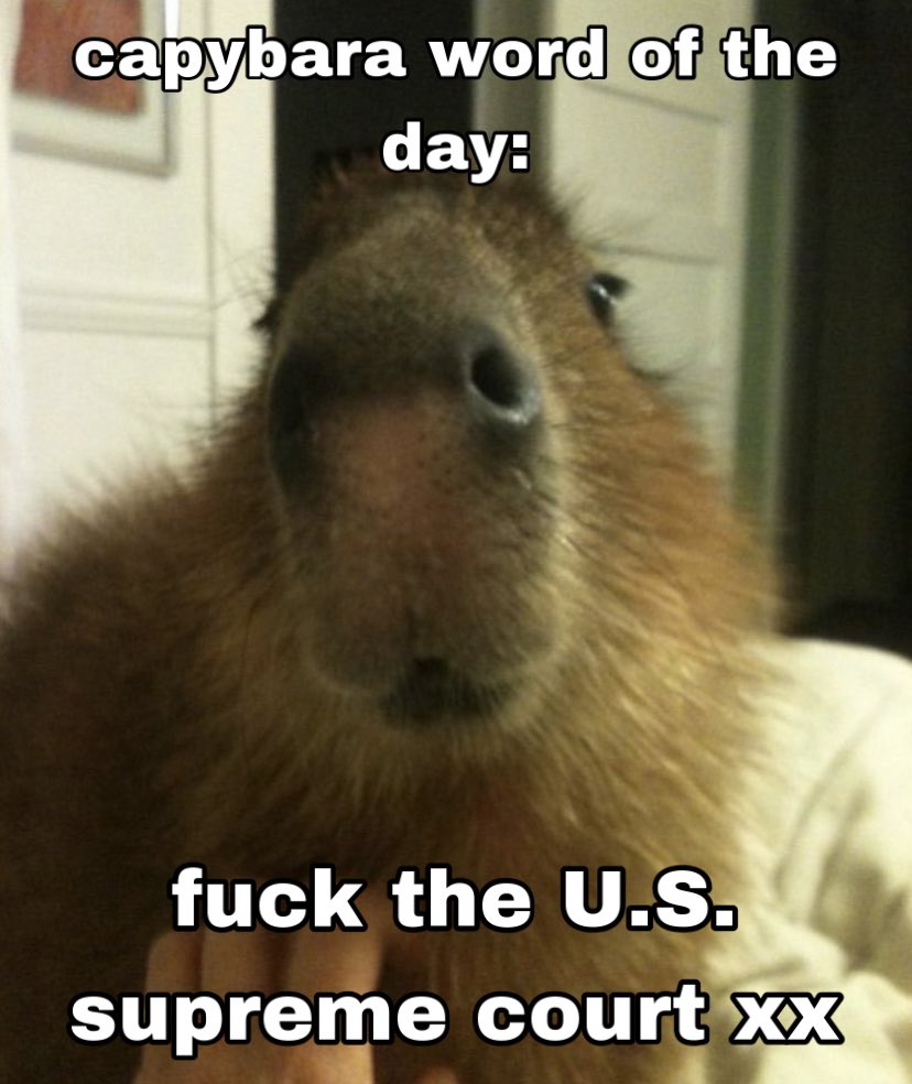 capywrdoftheday's tweet image. day 66: fuck the u.s. supreme court!!! #RoeVsWade #Capybara #capybarawordoftheday