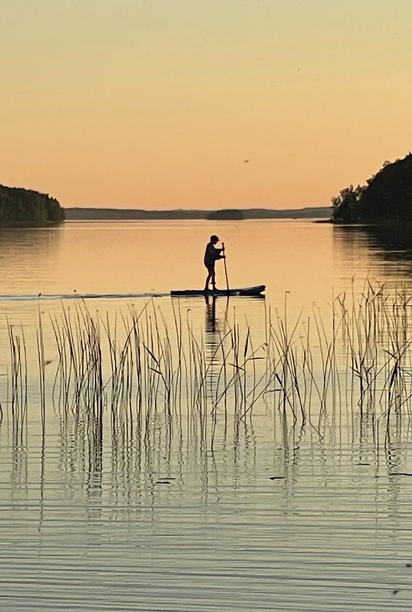 JP Willans tweet media