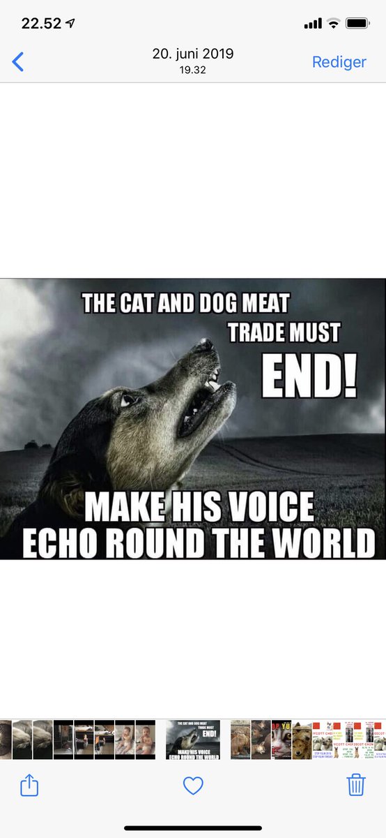 PLEASE BE HIS VOICE🐾🐾🙏  LETS MAKE HIS VOICE ECHO ROUND THE WORLD 📢📢🙏     CHINA!  THE CAT AND DOG MEAT TRADE MUST END!!!
#CHINA #YULIN #EndDogCatMeatTrade #StopYulin #EndYulinForever #NoToDogMeat #NoToCatMeat #NoDogsLeftBehind #NoCatsLeftBehind 🐾🐾🙏