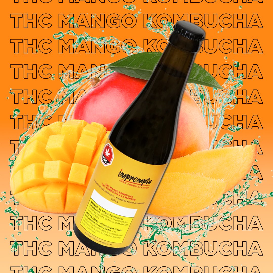 KootCannaNF's tweet photo. THC Mango Kombucha now in stock by Impromptu Cannabis 💦🔥 https://t.co/sH7ZxJXzXf