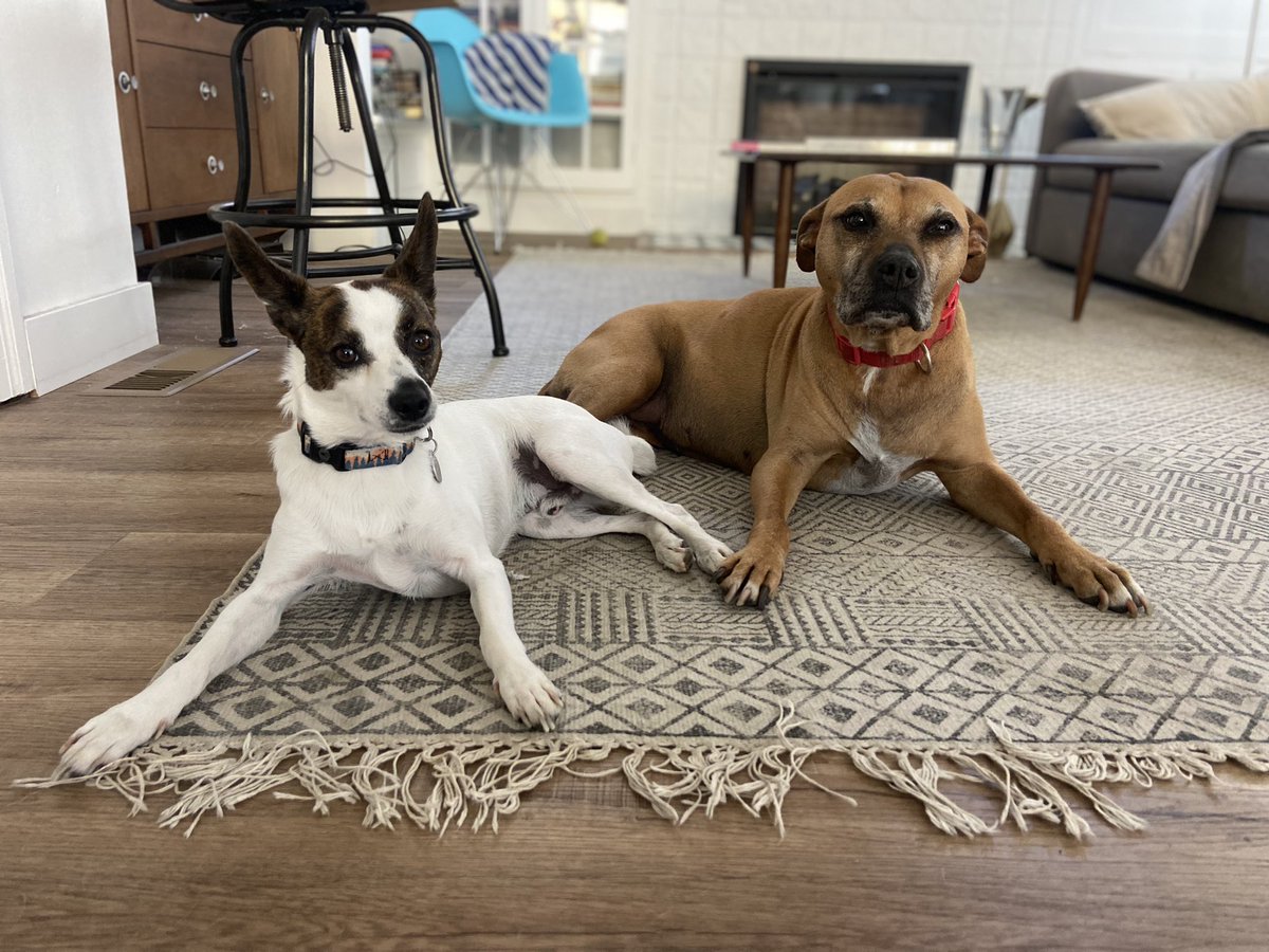 Sam Sanders tweet media