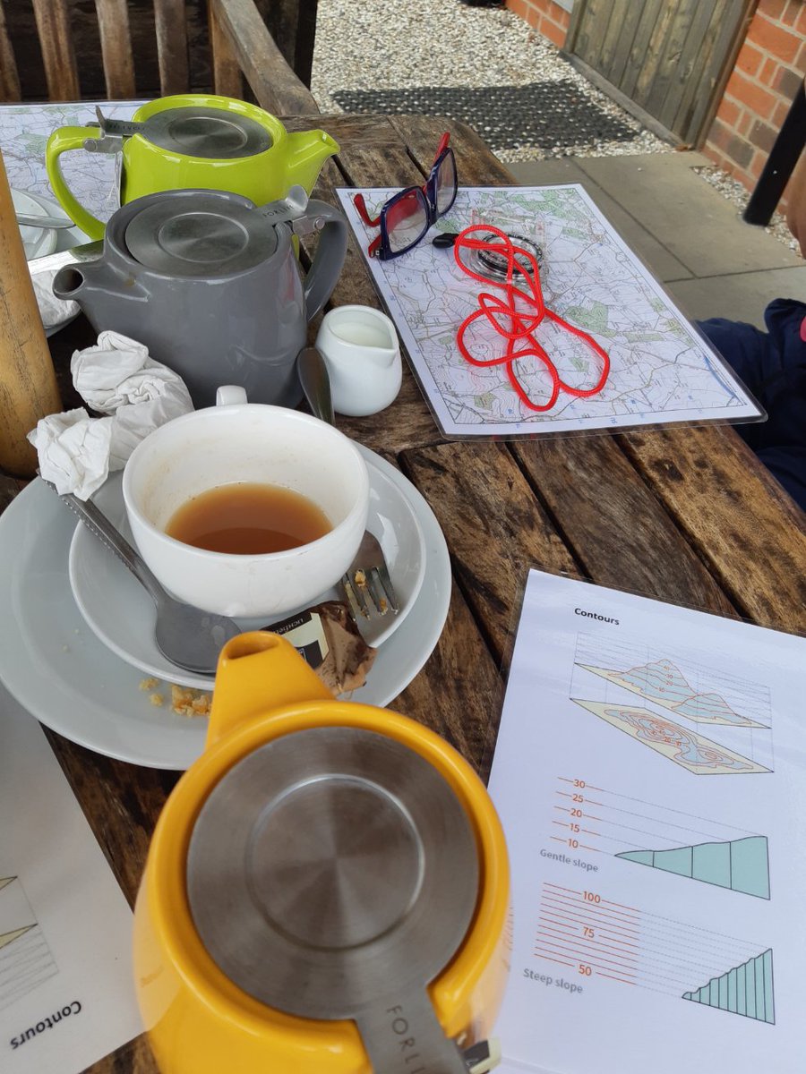 Pipsticks Walks tweet media